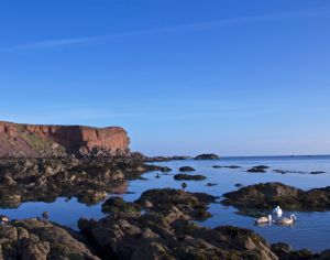 Eyemouth bay