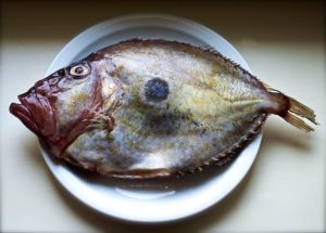 John Dory